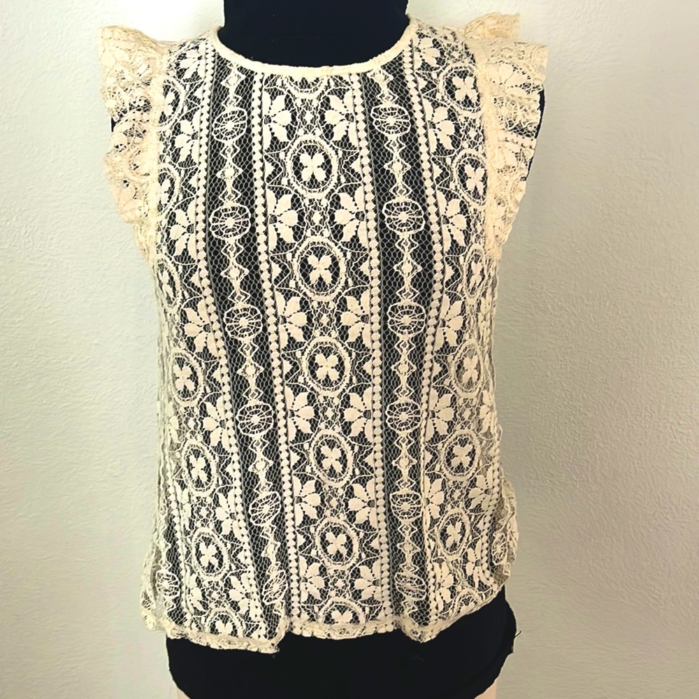 Beautiful Lacey top with cute sleeves